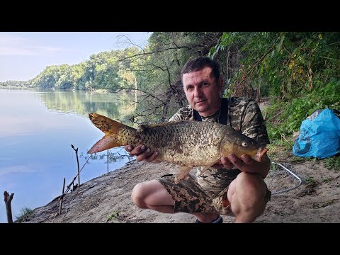 Видео: Рыбалка на Днестре с ночевкой. Рыбалка на карпа 2024.