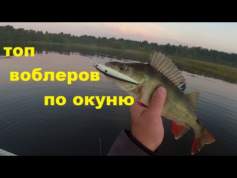 Видео: топ окуневых воблеров этого сезона на примере одной рыбалки