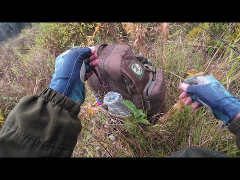 Видео: Рыбалка на окуня, щуку на верхней Волге.