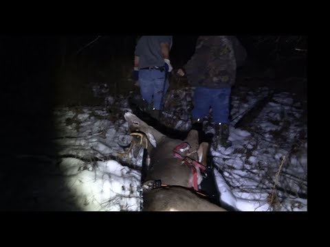 Видео: Охота на оленей в Верхнем полуострове Мичигана, лагерь оленей