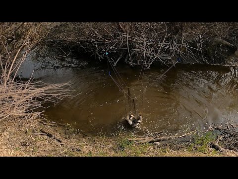 Видео: рыбалка на паук подъёмник в микроречке рекомендую посмотреть