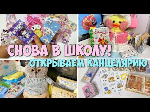 Видео: СНОВА В ШКОЛУ! Открываем канцелярию!