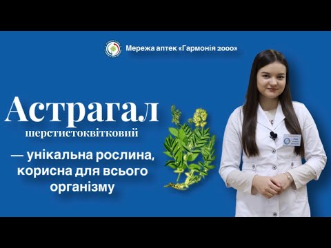 Видео: Астрагал шерстистоквітковий: унікальна рослина, корисна для всього організму