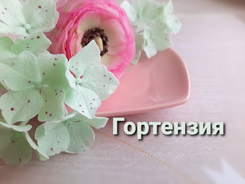 Видео: Гортензия из холодного фарфора. Подробный МК. Урок 5 в программе весеннего курса.