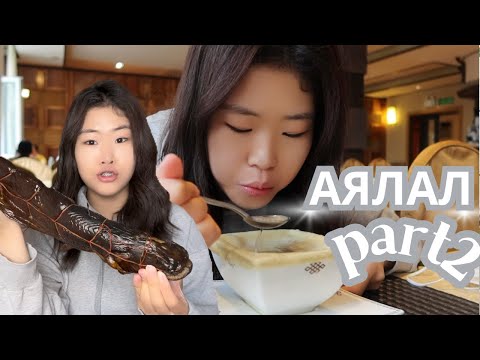 Видео: АЯЛАЛ ПАРТ2❤️
