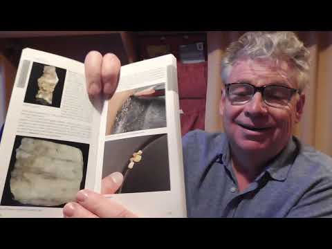 Видео: 🪙 Часть 8    Поиск Золота, Александра, Новая Зеландия