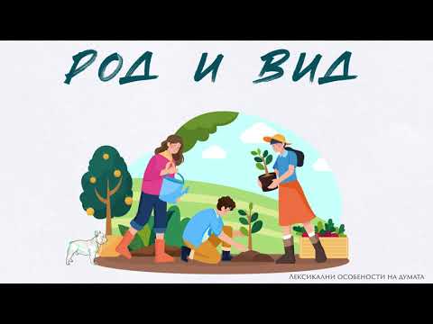 Видео: Лексикални особености на думата