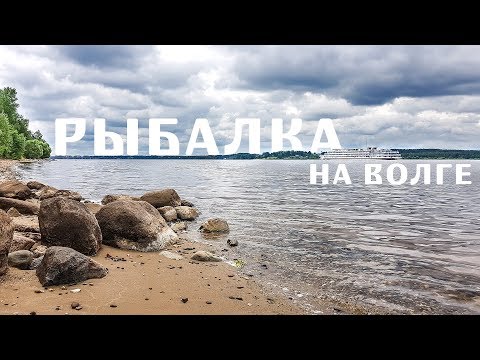 Видео: Рыбалка на Волге. ЛЕЩ. Глебово, Ярославская область | Отмечаем мой ДР. Июнь 2019