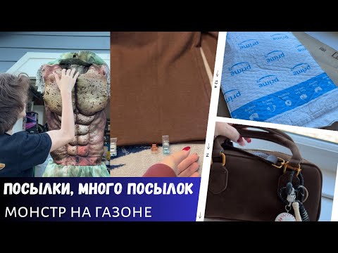 Видео: Посылки, много посылок / Клеим брюки / Монстр на газоне / Влог США