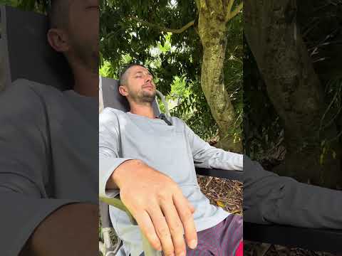 Видео: Практика 1