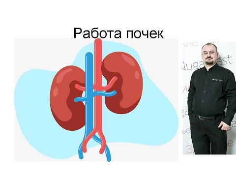 Видео: 7 признаков плохой работы почек