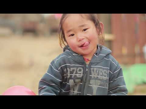 Видео: Видео 7 – Ид шидийн орон