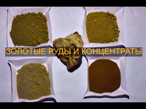 Видео: Как выглядит ЗОЛОТОЙ КОНЦЕНТРАТ И РУДЫ? Качественный анализ!