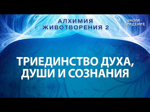 Видео: Триединство Дух, Душа, Сознание  #АлхимияЖивотворения #Гарат #школаСорадение