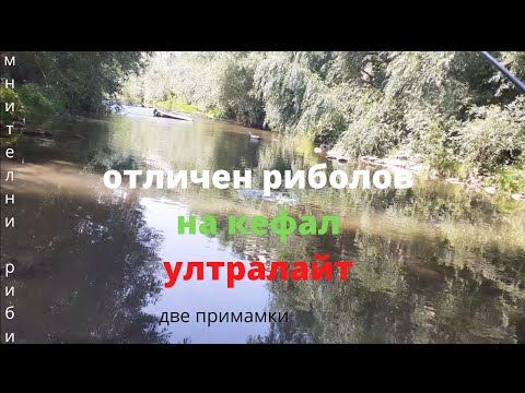 Видео: ОТЛИЧЕН РИБОЛОВ НА КЕФАЛ (УлтраЛайт)