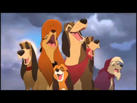 Видео: Короли ночной Вероны