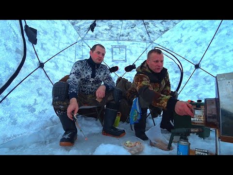 Видео: Рыбалка на щучьем озере. Жерлицы срабатывают одна за одной. Поймали одну щуку на 2 жерлицы. Жор щуки