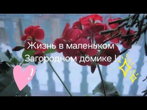 Видео: Мой Загородный🏡/Проблемы с интернетом и☎️/Цены💰растут не по дням Апо🕜/Распаковка WB #vlog #врек #дом