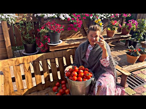Видео: МЕНЯ СЧИТАЮТ СТАРОЙ! АППЕТИТНАЯ ЖЕНЩИНА ДИАНА СТРОГАЯ! 