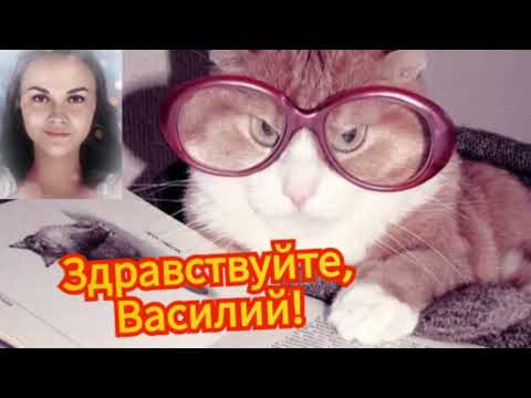 Видео: Мошенник не хочет тормозить события