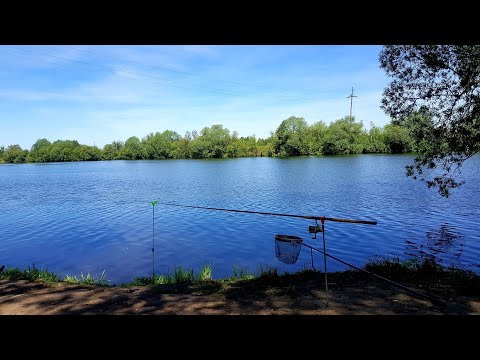 Видео: АКВАТОРИЯ - подлещик, село Рыболово, Раменский го, летняя рыбалка, Москва река