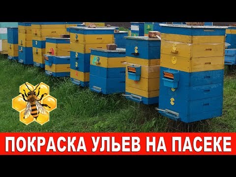 Видео: Покраска ульев на пасеке.