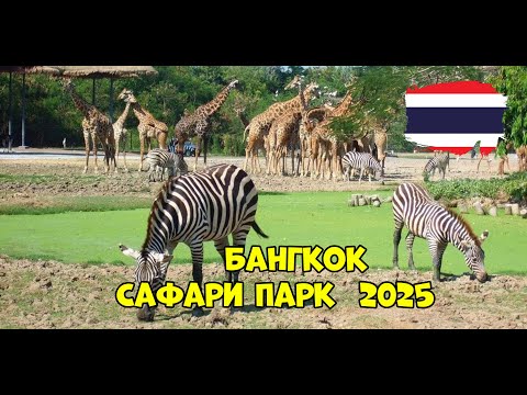 Видео: Таиланд . Бангкок Сафари Парк #4