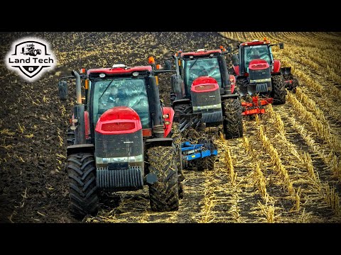 Видео: Красивая вспашка зяби на трех тракторах CASE MAGNUM 340!