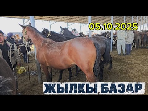 Видео: ЖЫЛКЫ БАЗАР / МАЛ БАЗАР ТАРАЗ