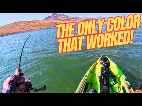 Видео: Сегодня поймала форель только на ОДИН цвет блесны!