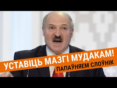 Видео: Шалудзівыя, пузатыя, пражжонная і храк | Шелудивые, пузатые, прожжённые и хряк