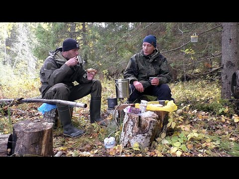 Видео: День на малой реке. Необычная рыбалка на спиннинг. Природа осенью.