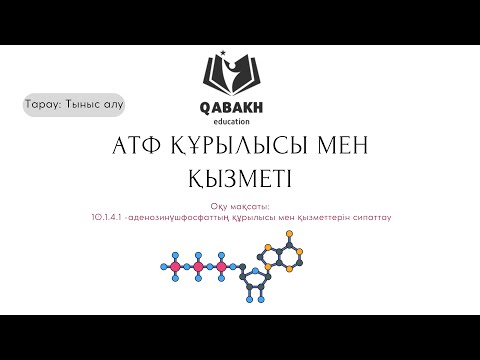 Видео: Аденозинүшфосфаттың құрылысы мен қызметі. 10-сынып. Биология. "Тыныс алу" тарауы. АТФ