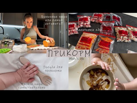 Видео: ПРИКОРМ| Заготовки и Заморозка еды| МЯСНОЕ ПЮРЕ самостоятельно| ПЕРВАЯ ПОСУДА| Каши и пюре| ЛАЙФХАКИ