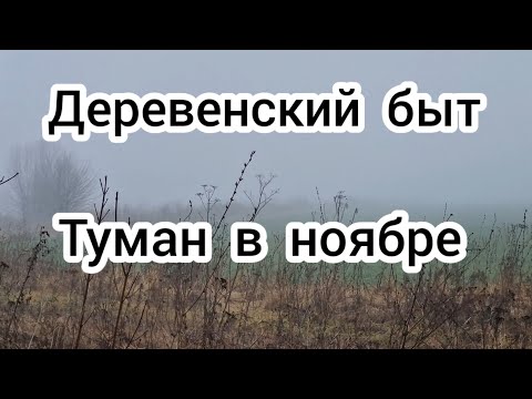 Видео: Туман в ноябре 💨 Деревенский быт 🏠