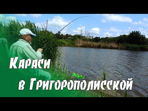 Видео: Караси в Григорополисской