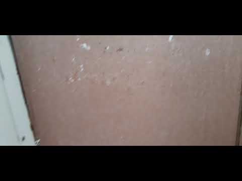 Видео: Приколы по домофону 1 часть