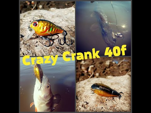 Видео: Не знаешь что поставить? Ставь этого малыша Crazy Crank 40f от Mottomo.Погонял шнуров под перекатом.