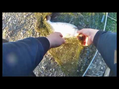 Видео: Крым рыбалка Орлянка 2025