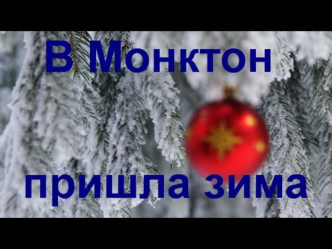 Видео: 15 декабря начало зимы в Монктоне, Нью Брансуик, Канада. 2022.