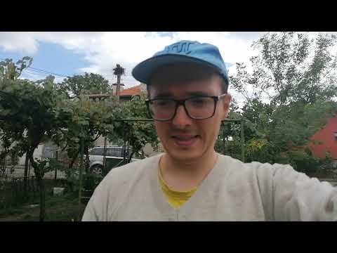 Видео: Идва първата слана!!! 