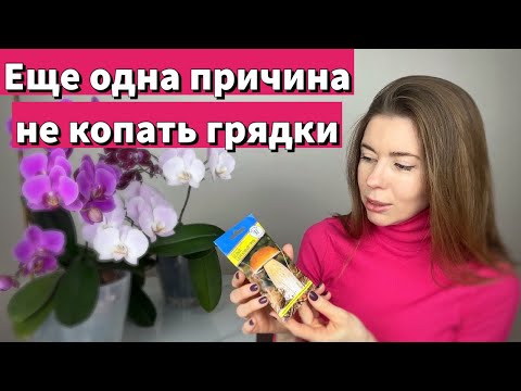 Видео: Почему МИКОРИЗА И ПЕРЕКОПКА не совместимы. Показываю грядки, которые не копали несколько лет