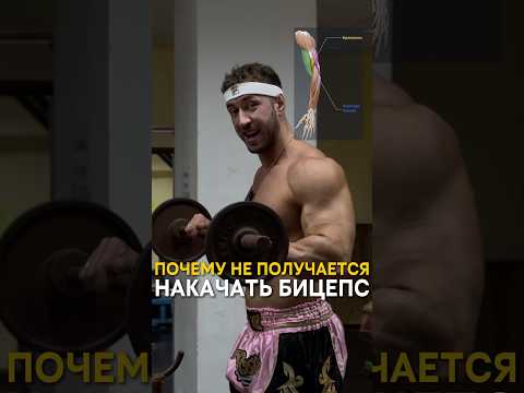 Видео: Почему не получается накачать трицепс🧐