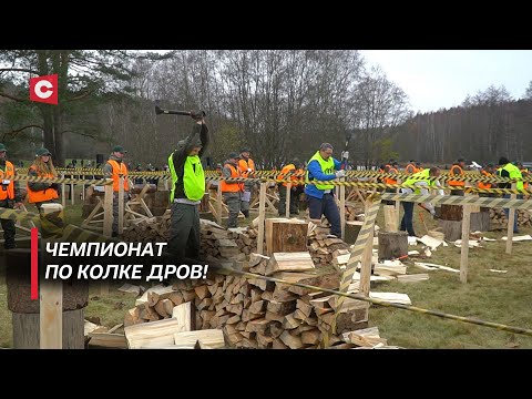 Видео: По-настоящему народный праздник! Как прошёл чемпионат по колке дров среди СМИ?