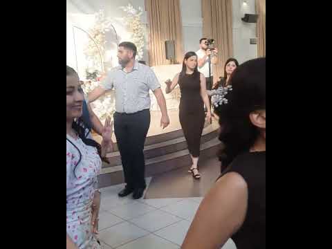 Видео: Алекс Везири - Свадьба Эдита и Никита 6.07.2025 Волгоград