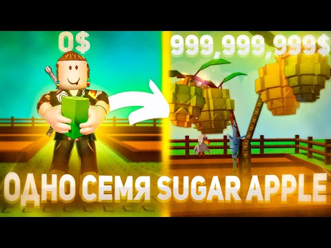 Видео: У МЕНЯ ОДНО СЕМЯ SUGAR APPLE и Я СТАЛ МИЛЛИАРДЕРОМ в Вырасти Сад Роблокс🌱Grow a Garden