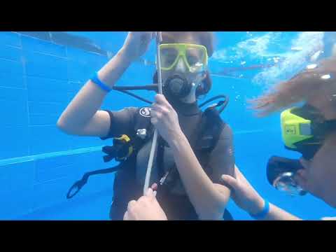Видео: Первое погружение c аквалангом, в DiveClubChe