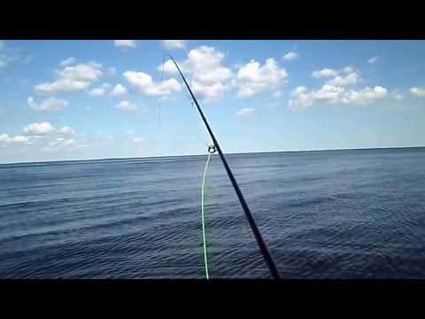 Видео: Нахлыст -  озёрный хариус.