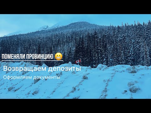 Видео: Поменяли провинцию! Оформляем документы, возвращаем депозиты, кенселим услуги в Винни