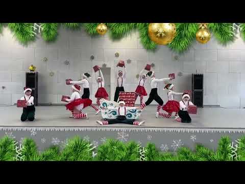 Видео: Зимовий благодійний концерт 2024